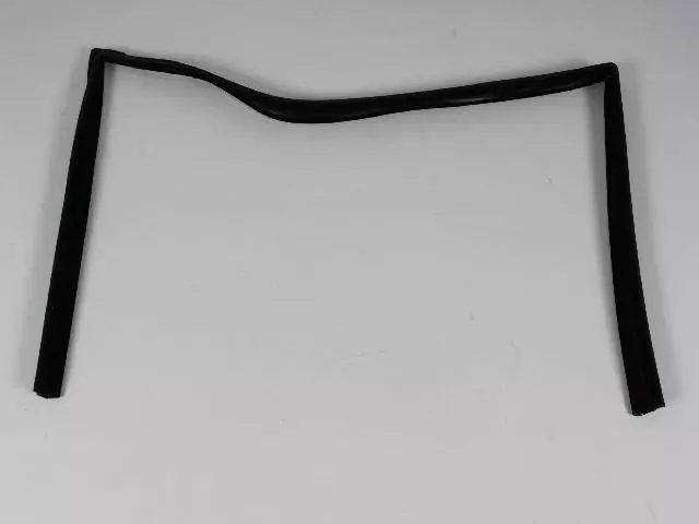 Front Door Glass Run, Left - Mopar (68040039AE)