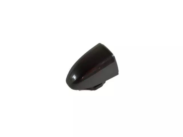 1YB53LAUAB - Doors, Door Mirrors and Related Parts: Door Handle Cap, Right for Chrysler: 200 Image