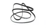 12654273 - : Serpentine Belt for ACDelco Image