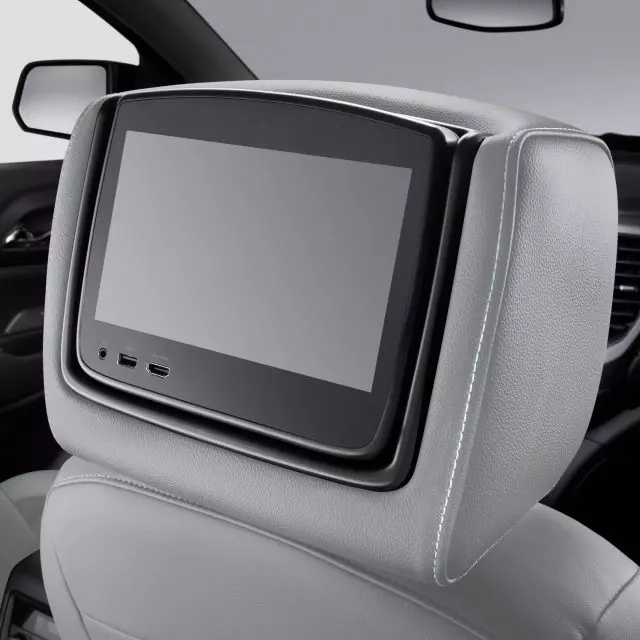 Headrest and Video Screen Assembly - GM (85120268)