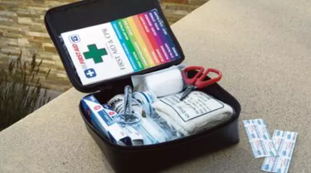 First Aid Kit W/Toyota Logo - Toyota (PT42003023)