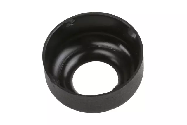 Windshield Wiper Arm Shaft Seal - GM (22062906)