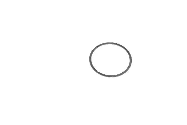 25189911 - : Front Differential Bearing Shim for GM Image