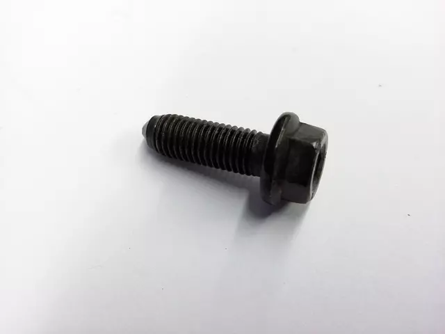 N90945002 - : Water Pump Assembly Bolt for Volkswagen: Beetle, Eos, Golf, Golf R, Jetta, Passat Image