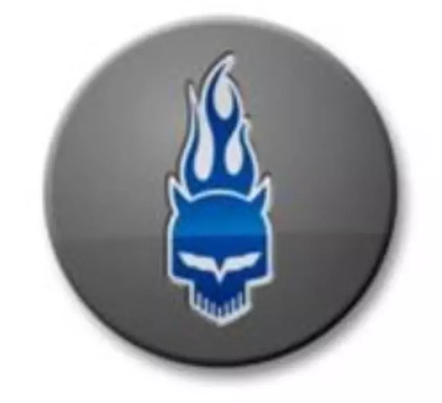 Wheel Center Cap, Chrome - GM (19259074)