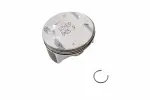 25192332 - : F (S)Piston for GM Image