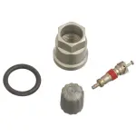 20012 - : TPMS Service Kit 20012 (Clamp-in Components) for Schrader TPMS Solutions Image