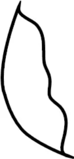 876114HA0A - : Seat Back Pad for INFINITI: Q50 Image