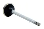 V4355 - : Engine Exhaust Valve for Enginetech Image