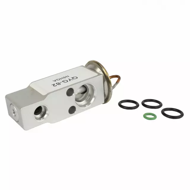 Valve Assembly Evaporator Expansion - Ford (QYG-82)