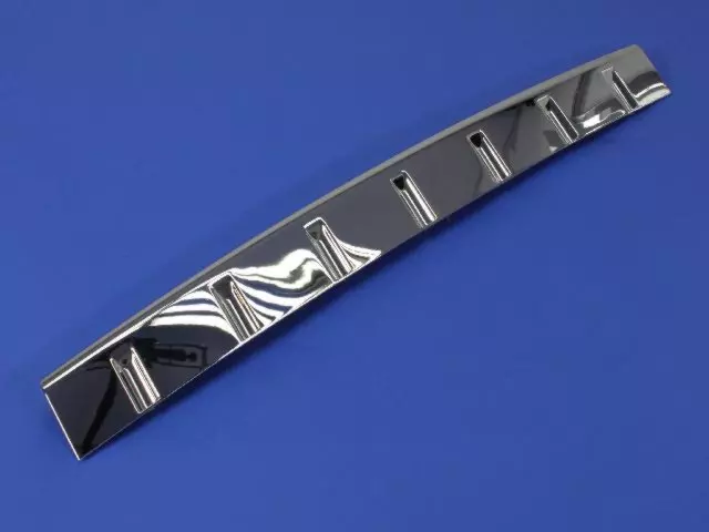 Fascia Molding - Mopar (1DL48SZ0AA)