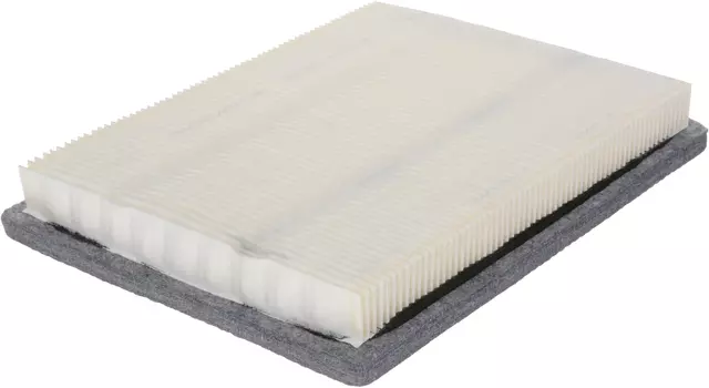 A2955C - : Air Filter for ACDelco Image