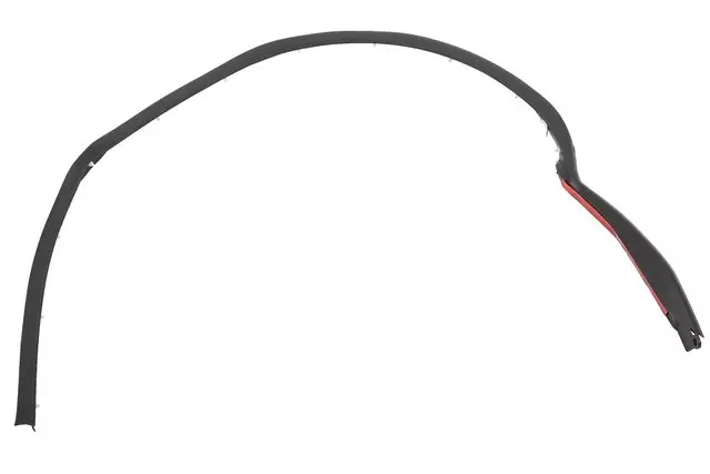 Lower Weather-Strip - GM (15291984)