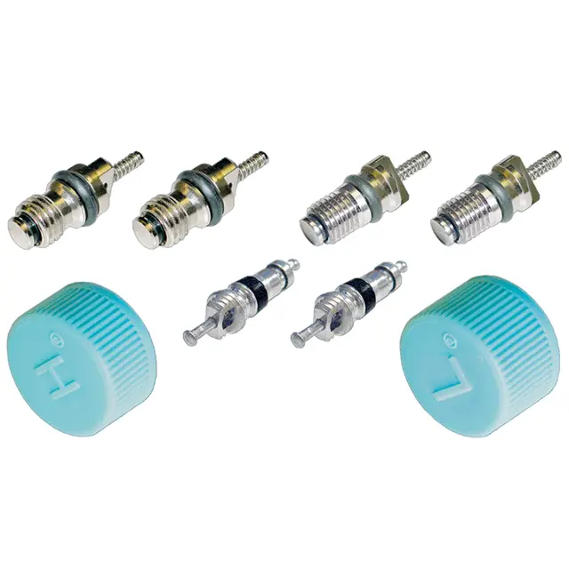 1311684 - Air Conditioning &amp; Heat: A/C System Valve Core and Cap Kit for GLOBAL PARTS DISTRIBUTORS Image