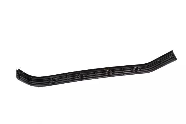Passenger Side Rear Bumper Rub Strip - GM (15574116)