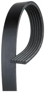 19355375 - : Serpentine Belt for GM Image