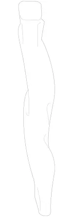 2228321390 - : Drain Pipe for Mercedes-Benz: Maybach S550, Maybach S560, Maybach S600, Maybach S650, S450, S550, S550e, S560, S600, S63 AMG, S65 AMG Image