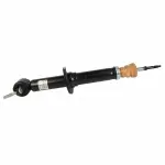 ASH24566 - Suspension: Motorcraftâ„¢ Suspension Shock Absorber for Ford: F-150 Image