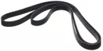 117201PD0A - : Serpentine Belt for Nissan Image