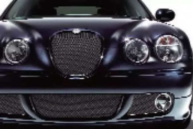 XR854196 - Exterior: Upper Mesh Grille for Jaguar Image