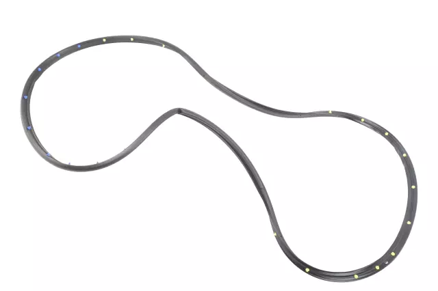 Door Weather-Strip - GM (22973970)