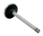 V1717 - : Engine Exhaust Valve for Enginetech Image