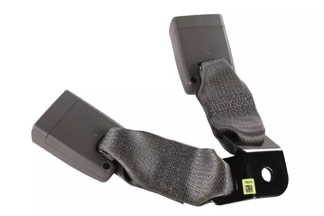 Buckle - GM (84381801)