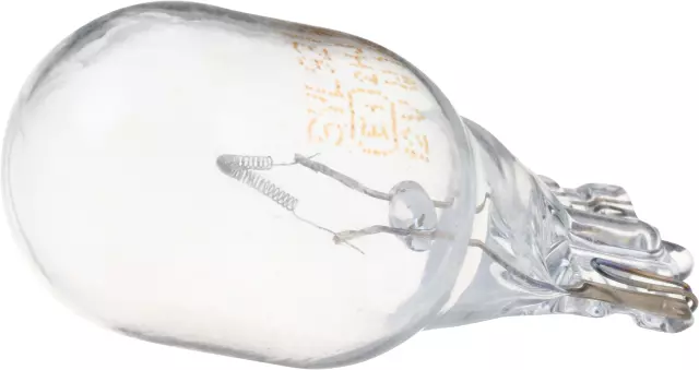 262615Z000 - : Bulb for Nissan: Altima, Frontier, Quest, TITAN Image