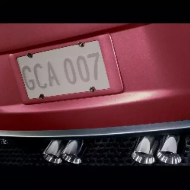 Rear License Plate Holder - Crystal Red (89U) - GM (19166221)