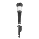 28513602 - : Unity Automotive Air Suspension Strut for Unity Automotive Image