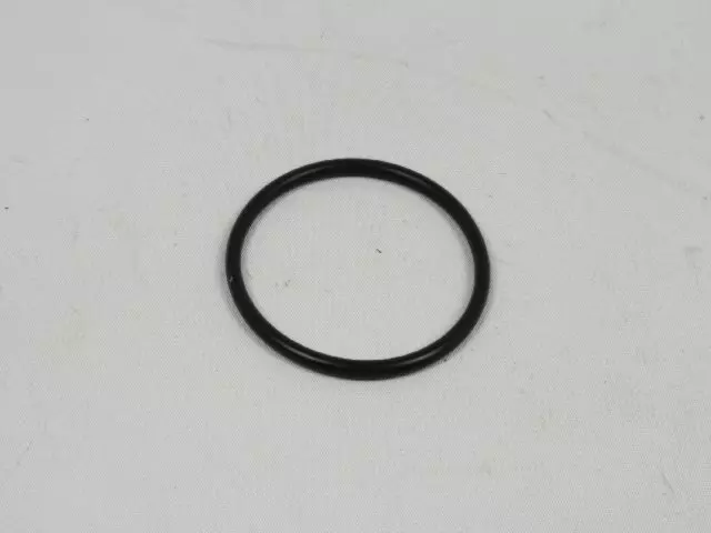 Water Pump O Ring - Mopar (5159019AA)