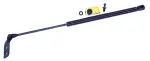 612661 - : Liftgate Lift Support for Tuff Support Image