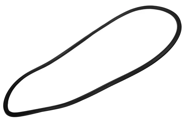 Front Side Door Body Side Weatherstrip - GM (84384252)