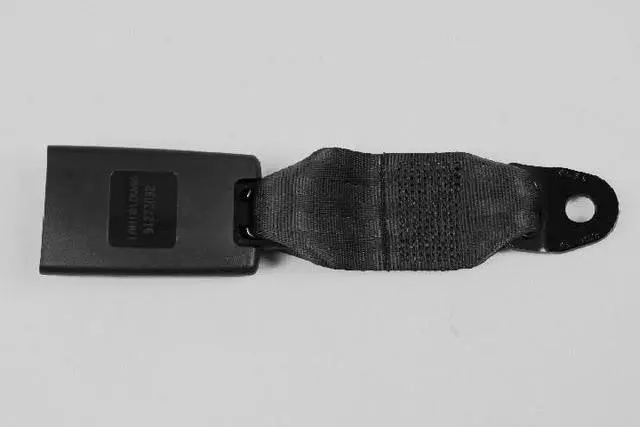 Rear Inner Seat Belt, Right - Mopar (1AN181K7AA)