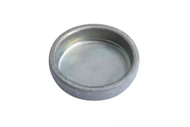 89048308 - : Manual Transmission Shift Shaft Hole Plug for Hummer: H3, H3T Image