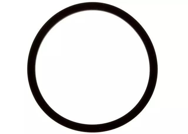 24206509 - Transmission: Automatic Transmission 1-2 Accumulator Piston Fluid Seal for Buick: Commercial Chassis, Rainier, Roadmaster | Cadillac: Brougham, Commercial Chassis, Escalade, Escalade ESV, Escalade EXT, Fleetwood | Chevrolet: Astro, Avalanche, Avalanche 1500, Blazer, C1500, C2500, Camaro, Caprice, Colorado, Corvette, Express 1500, Express 2500, G10, G20, G30, Impala, K1500 Pickup, K2500 Pickup, R10, R20, S10, S10 Blazer, Silverado 1500, Silverado 1500 Classic, Silverado 2500, SSR, Suburban 1500, Suburban C1500, Suburban C2500, Suburban K1500, Suburban R10, Suburban R1500, Suburban V10, Suburban V1500, Tahoe, Trailblazer, Trailblazer EXT, V10, V20 | GMC: C1500 Pickup, C2500 Pickup, Canyon, Envoy, Envoy XL, Envoy XUV, G1500, G2500, G3500, Jimmy, Jimmy S15, K1500 Pickup, K2500 Pickup, R1500 Pickup, R2500 Pickup, S15, Safari, Savana 1500, Savana 2500, Sierra 1500, Sierra 1500 Classic, Sierra 2500, Sonoma, Suburban C1500, Suburban K1500, Suburban R1500, Syclone, Typhoon, V1500, V1500 Suburban, V2500, Yukon, Yukon XL 1500 | Hummer: H2, H3, H3T | Isuzu: Ascender, i-280, i-290, i-350, i-370 | Oldsmobile: Bravada, Custom Cruiser | Pontiac: Firebird, GTO | Saab: 9-7x Image