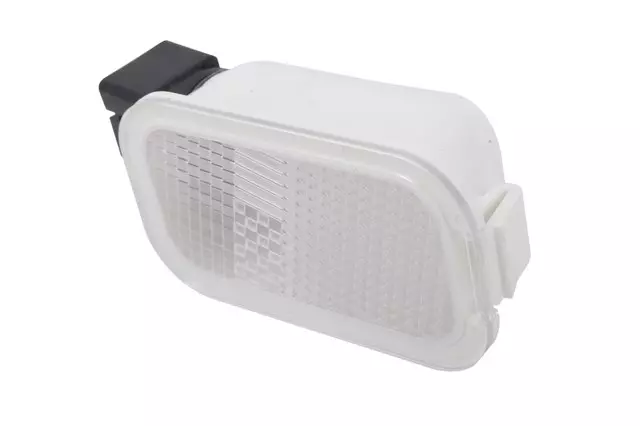 Passenger Side Courtesy Lamp - GM (15875000)