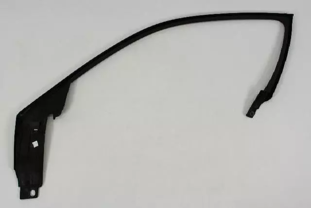 Front Door Molding, Left - Mopar (1TT99DX9AB)