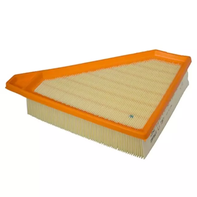 Engine Air Filter - Ford (9T1Z-9601-A)
