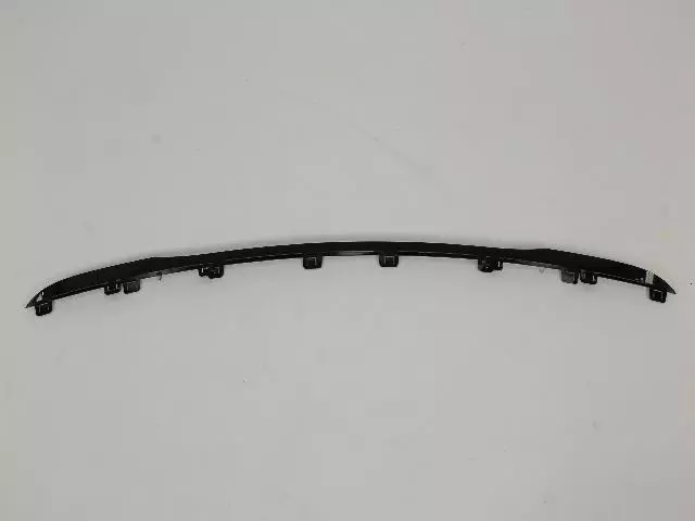 Strip Molding - Mopar (68102312AA)
