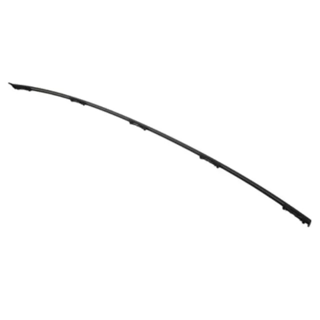 Roof Molding - Ford (CP9Z-5450463-A)