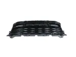 68504506AA - Exterior Ornamentation: Radiator Grille for Mopar Image