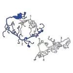 LL1Z14290AP - : 2020-2021 Ford Expedition - Wire Harness for Ford: Expedition Image