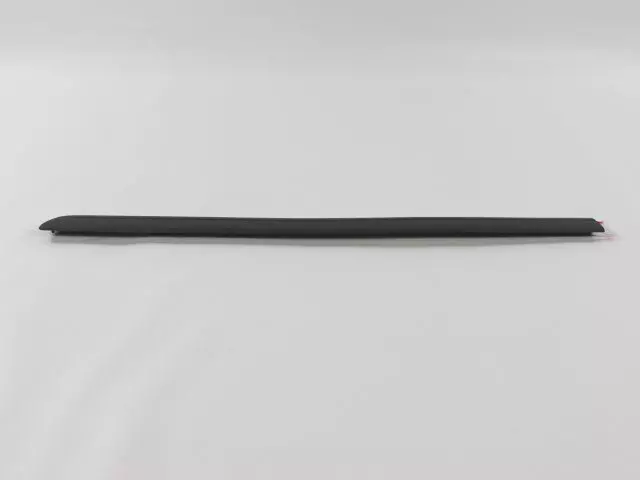 Front Door Molding, Right - Mopar (WV92TZZAA)