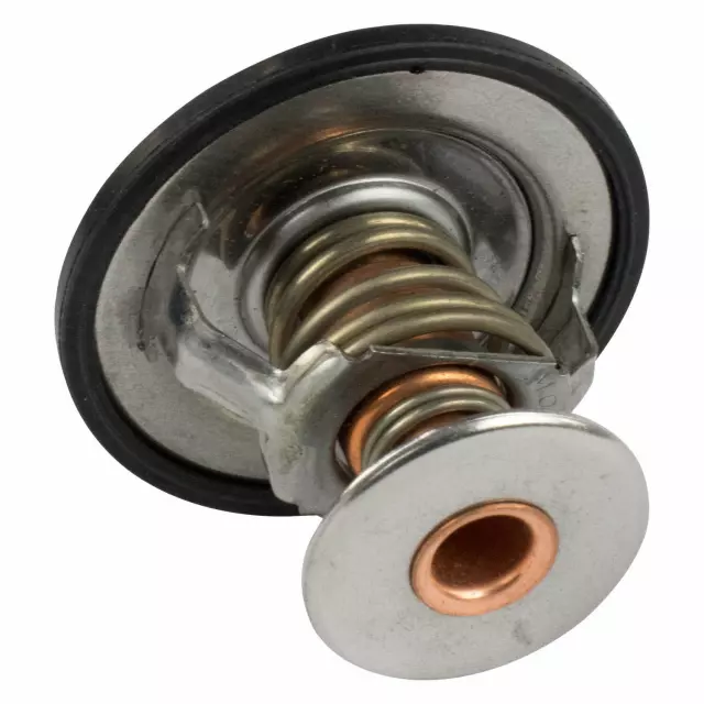 Thermostat Assembly - Ford (QRT-57)