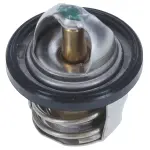 1336196 - : Thermostat-196 Degrees with seal for Motorad Image