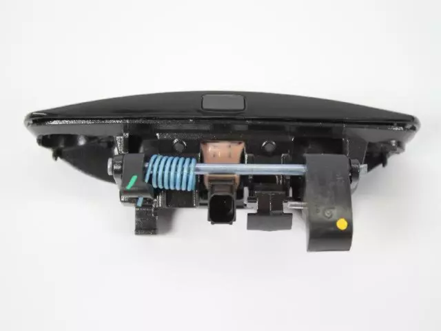 1MZ85DX8AM - Doors, Door Mirrors and Related Parts: Front Door Exterior Handle, Left for Dodge: Challenger, Charger Image