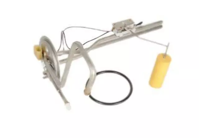 F (S)Sender - GM (19180453)