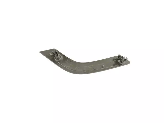 Grab Handle Bezel, Right - Mopar (6GH081D4AA)