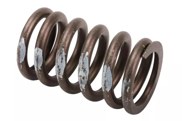 Valve Springs - GM (14076469)